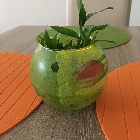 Gardeniya Apartment *